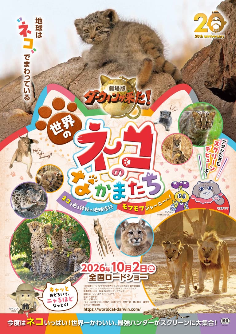 Darwin’s Amazing Animals the Movie: Cats of the World