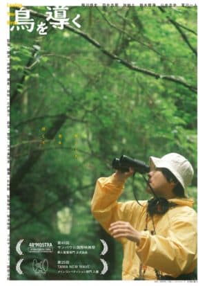 Guiding Birds