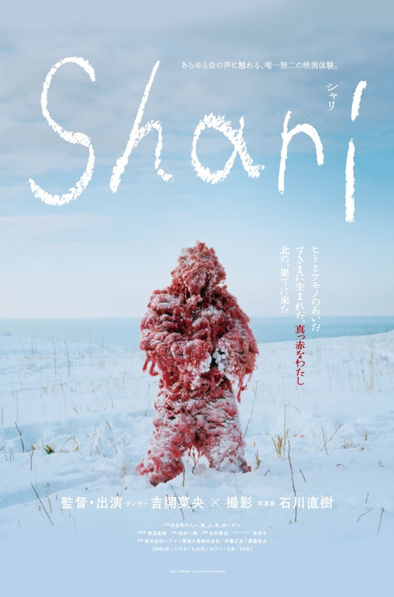 Shari