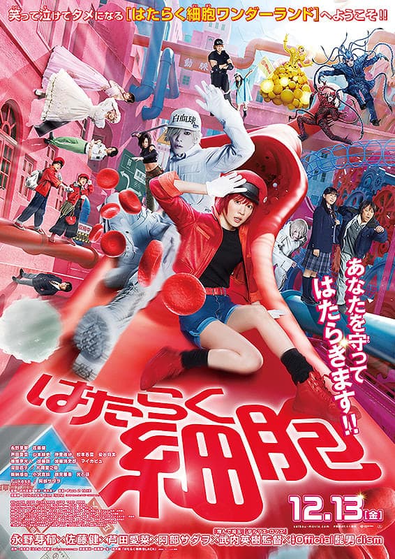 Cells at Work!