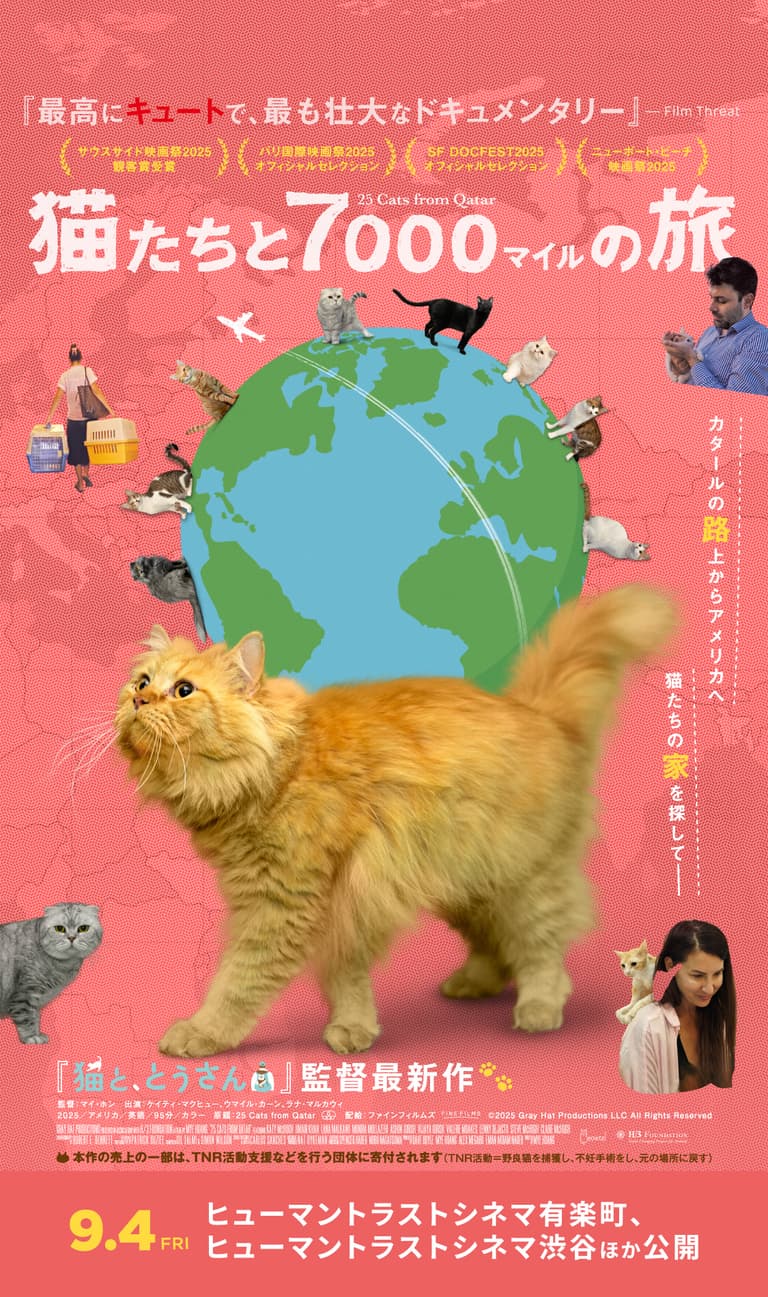 猫たちと7000マイルの旅